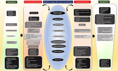 Editorial: Metabolic Changes After Kidney Transplantation